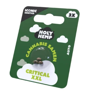 Crtical XXL Cannabissamen Frontansicht.webp