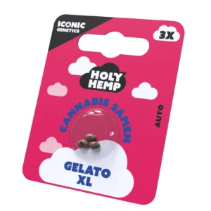 Gelato XL Cannabissamen Frontansicht.webp