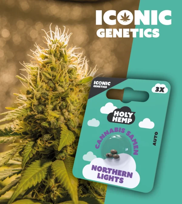 Iconic Genetics - Northern Lights (3 Cannabissamen)