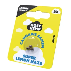 Super Lemon Haze Cannabissamen Frontansicht.webp